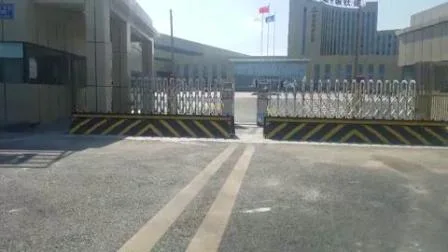 I posti di blocco sollevano i cordoli per l'ingresso nella zona di massima sicurezza